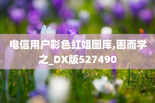 电信用户彩色红姐图库,困而学之_DX版527490