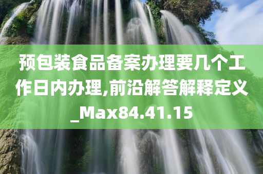 预包装食品备案办理要几个工作日内办理,前沿解答解释定义_Max84.41.15