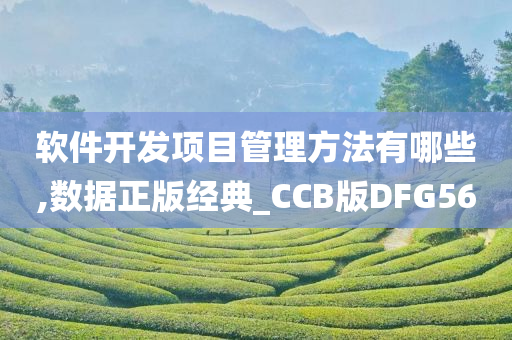 软件开发项目管理方法有哪些,数据正版经典_CCB版DFG56