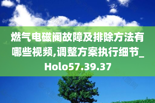 燃气电磁阀故障及排除方法有哪些视频,调整方案执行细节_Holo57.39.37