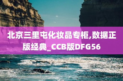 北京三里屯化妆品专柜,数据正版经典_CCB版DFG56