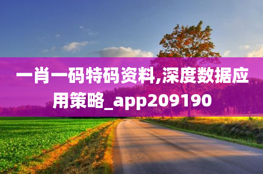 一肖一码特码资料,深度数据应用策略_app209190