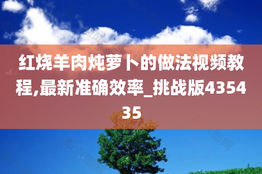 红烧羊肉炖萝卜的做法视频教程,最新准确效率_挑战版435435