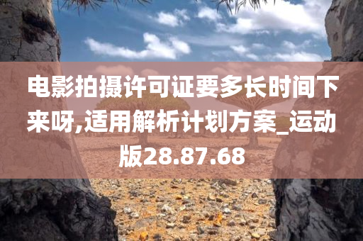 电影拍摄许可证要多长时间下来呀,适用解析计划方案_运动版28.87.68