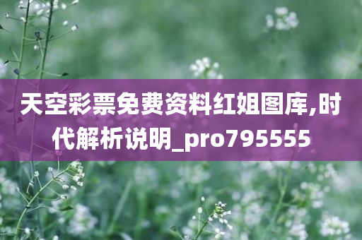 天空彩票免费资料红姐图库,时代解析说明_pro795555