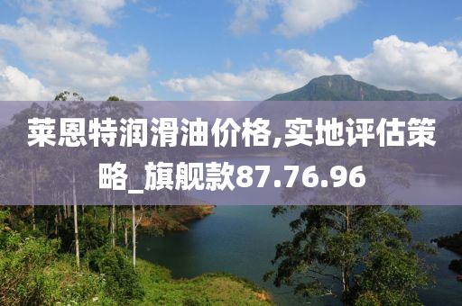 莱恩特润滑油价格,实地评估策略_旗舰款87.76.96