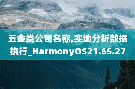 五金类公司名称,实地分析数据执行_HarmonyOS21.65.27