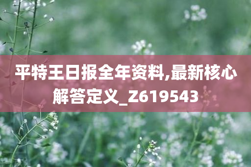 平特王日报全年资料,最新核心解答定义_Z619543