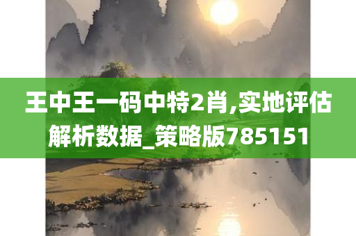 王中王一码中特2肖,实地评估解析数据_策略版785151