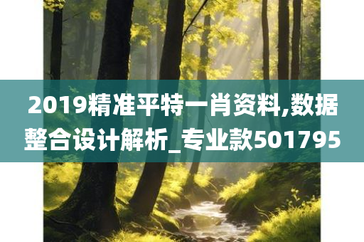 2019精准平特一肖资料,数据整合设计解析_专业款501795