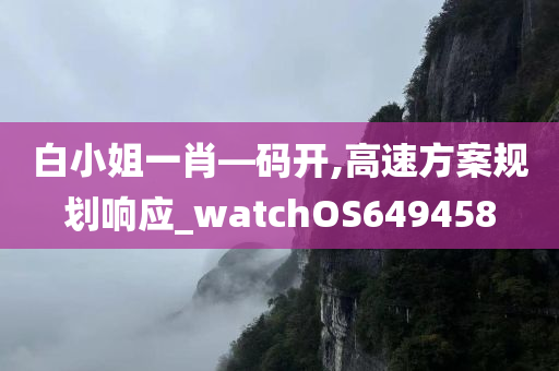 白小姐一肖—码开,高速方案规划响应_watchOS649458