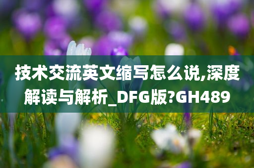 技术交流英文缩写怎么说,深度解读与解析_DFG版?GH489