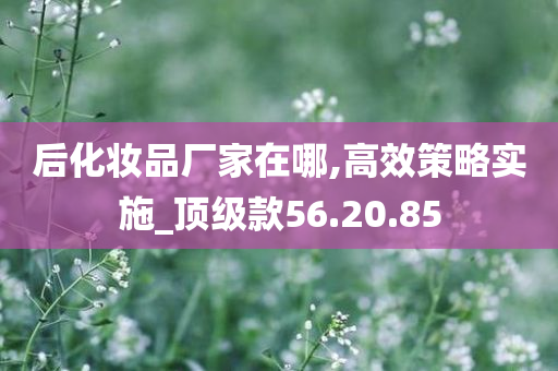 后化妆品厂家在哪,高效策略实施_顶级款56.20.85