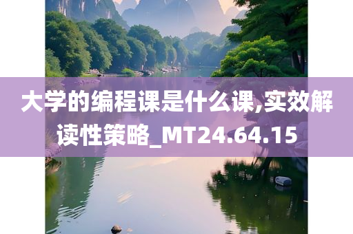 大学的编程课是什么课,实效解读性策略_MT24.64.15