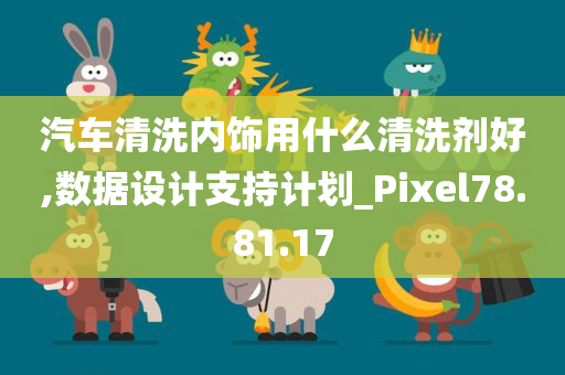 汽车清洗内饰用什么清洗剂好,数据设计支持计划_Pixel78.81.17