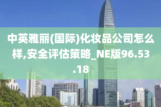 中英雅丽(国际)化妆品公司怎么样,安全评估策略_NE版96.53.18