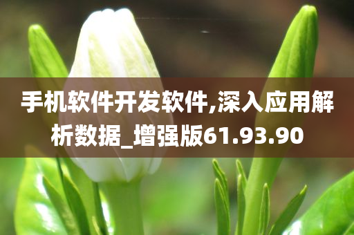 手机软件开发软件,深入应用解析数据_增强版61.93.90