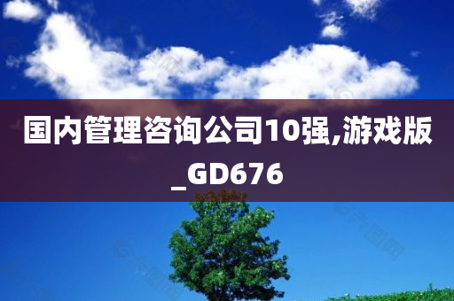 国内管理咨询公司10强,游戏版_GD676