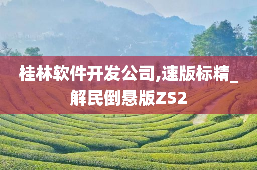 桂林软件开发公司,速版标精_解民倒悬版ZS2