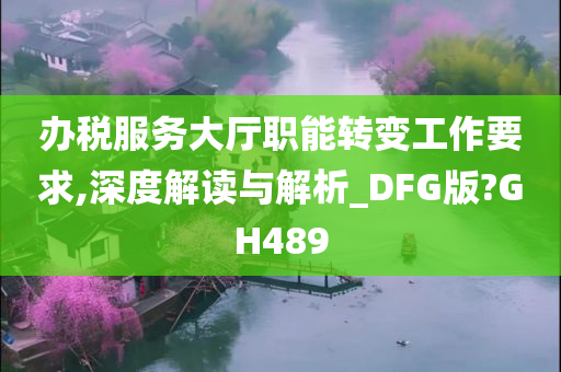 办税服务大厅职能转变工作要求,深度解读与解析_DFG版?GH489