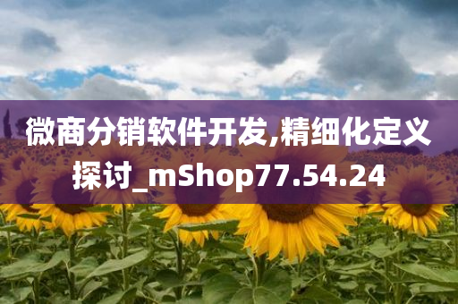 微商分销软件开发,精细化定义探讨_mShop77.54.24