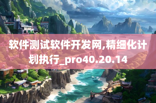 软件测试软件开发网,精细化计划执行_pro40.20.14