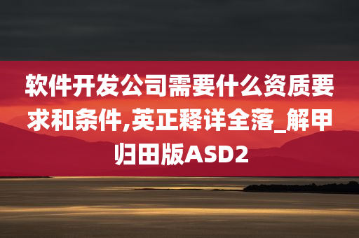 软件开发公司需要什么资质要求和条件,英正释详全落_解甲归田版ASD2