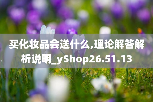 买化妆品会送什么,理论解答解析说明_yShop26.51.13