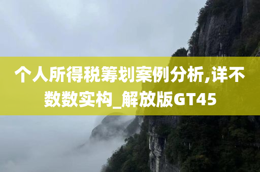 个人所得税筹划案例分析,详不数数实构_解放版GT45