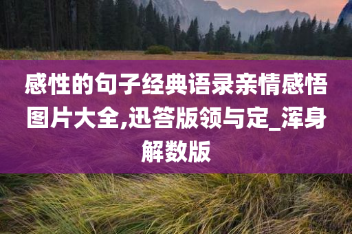 感性的句子经典语录亲情感悟图片大全,迅答版领与定_浑身解数版