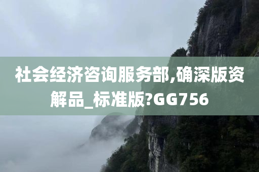 社会经济咨询服务部,确深版资解品_标准版?GG756