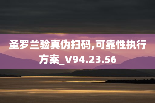 圣罗兰验真伪扫码,可靠性执行方案_V94.23.56