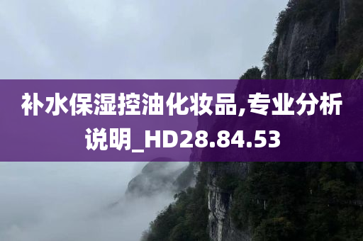 补水保湿控油化妆品,专业分析说明_HD28.84.53