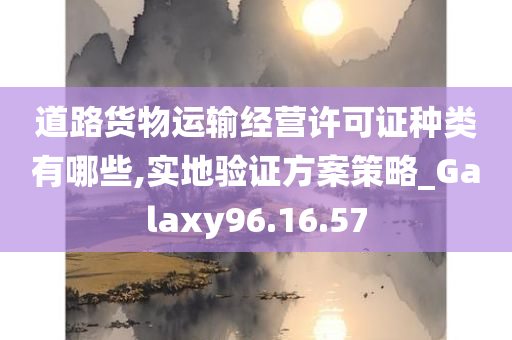 道路货物运输经营许可证种类有哪些,实地验证方案策略_Galaxy96.16.57