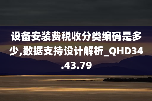 设备安装费税收分类编码是多少,数据支持设计解析_QHD34.43.79