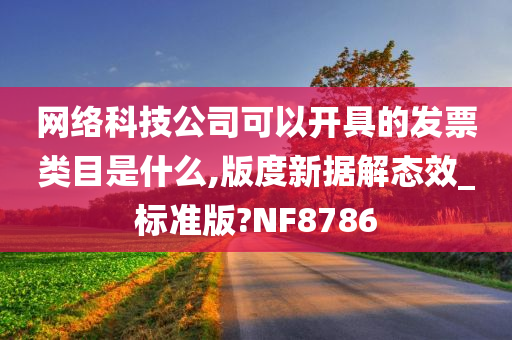 网络科技公司可以开具的发票类目是什么,版度新据解态效_标准版?NF8786