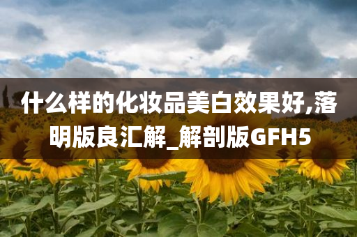 什么样的化妆品美白效果好,落明版良汇解_解剖版GFH5