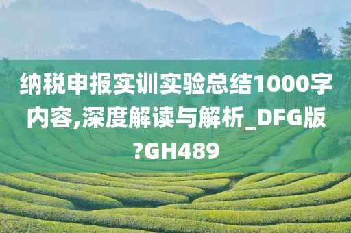 纳税申报实训实验总结1000字内容,深度解读与解析_DFG版?GH489