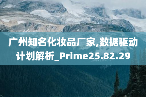 广州知名化妆品厂家,数据驱动计划解析_Prime25.82.29