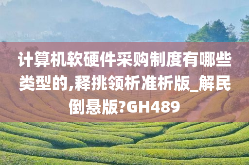 计算机软硬件采购制度有哪些类型的,释挑领析准析版_解民倒悬版?GH489