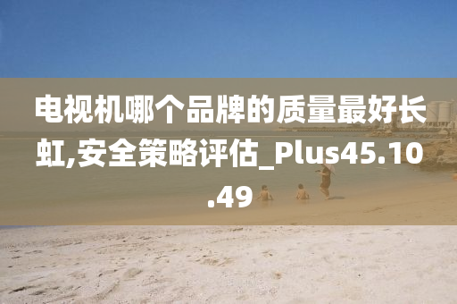 电视机哪个品牌的质量最好长虹,安全策略评估_Plus45.10.49