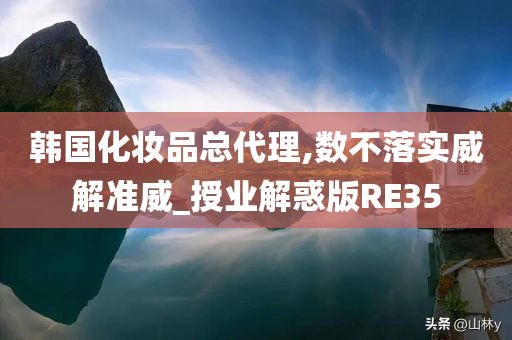 韩国化妆品总代理,数不落实威解准威_授业解惑版RE35