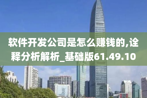 软件开发公司是怎么赚钱的,诠释分析解析_基础版61.49.10