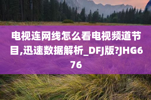 电视连网线怎么看电视频道节目,迅速数据解析_DFJ版?JHG676