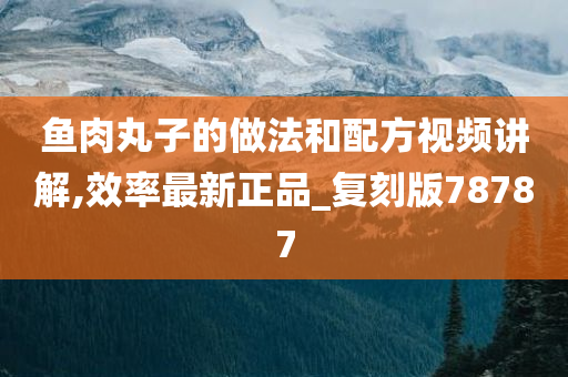 鱼肉丸子的做法和配方视频讲解,效率最新正品_复刻版78787