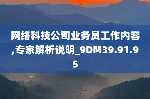 网络科技公司业务员工作内容,专家解析说明_9DM39.91.95