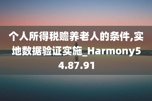 个人所得税赡养老人的条件,实地数据验证实施_Harmony54.87.91