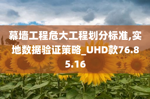 幕墙工程危大工程划分标准,实地数据验证策略_UHD款76.85.16