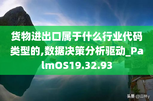 货物进出口属于什么行业代码类型的,数据决策分析驱动_PalmOS19.32.93