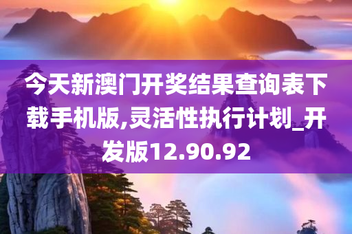 今天新澳门开奖结果查询表下载手机版,灵活性执行计划_开发版12.90.92